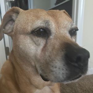 Meet your Posher, Britt